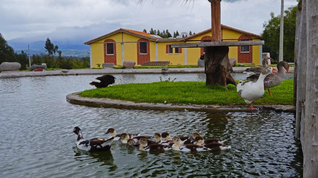 Отель La Quinta Colorada Ласо Экстерьер фото